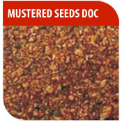 DM International - Product - Extraction (DOC)