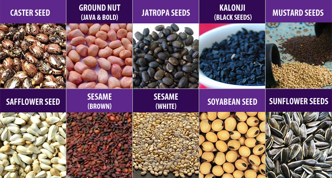 DM International - Product - Oil Seeds