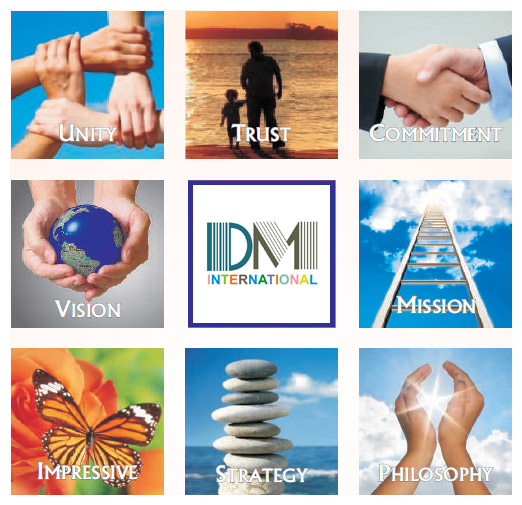 DM International Vision